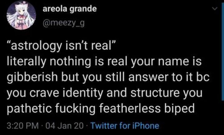 33 Astrology Memes - "'Astrology isn't real' literally nothing is real. Your name is gibberish but you still answer to it because you crave identity and structure you pathetic [censored] featherless biped."