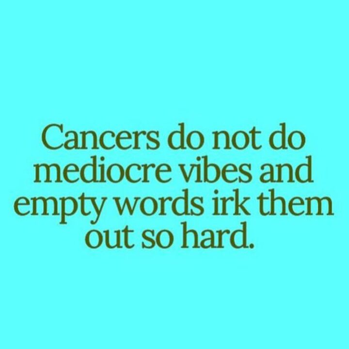 33 Astrology Memes - "Cancers do not do mediocre vibes and empty words irk them out so hard."