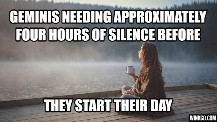 33 Astrology Memes - "Geminis needing approximately four hours of silence before they start their day."