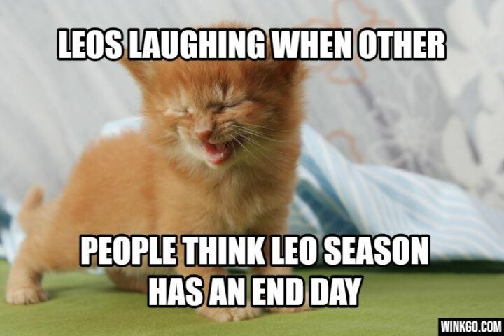 "Leos laughing when other people think Leo season has an end day."