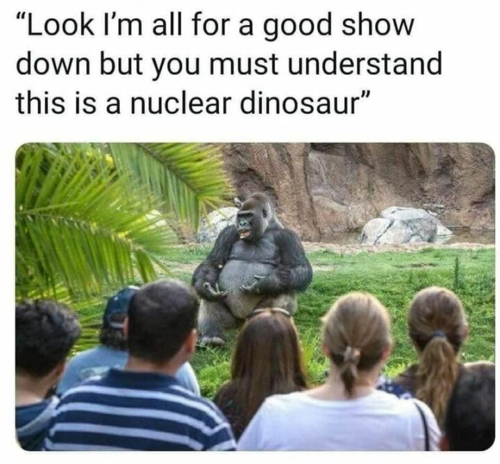 "Look I'm all for a good showdown but you must understand this is a nuclear dinosaur."
