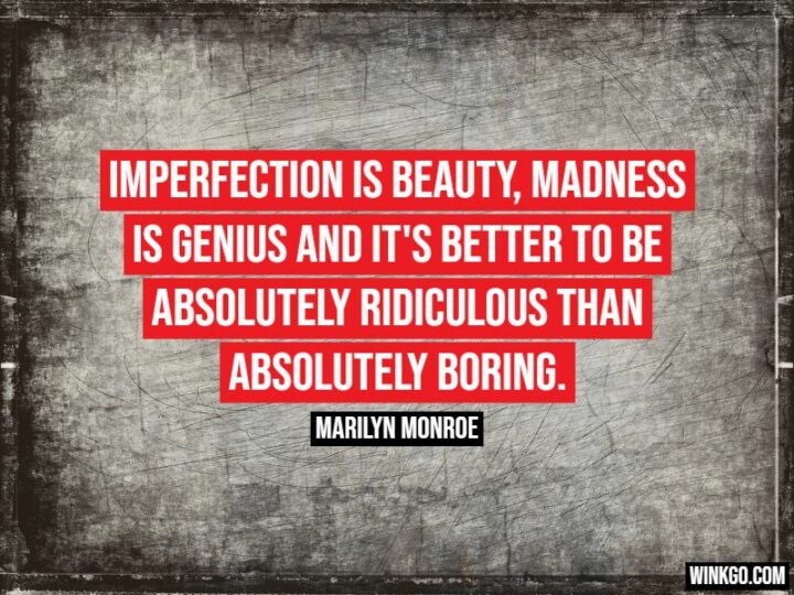 "Imperfection is beauty, madness is genius and it's better to be absolutely ridiculous than absolutely boring." - Marilyn Monroe