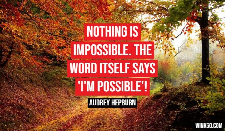 "Nothing is impossible. The word itself says 'I'm possible!'" - Audrey Hepburn