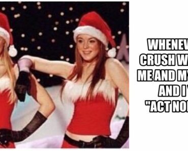 37 “Mean Girls” Memes That Are So Fetch