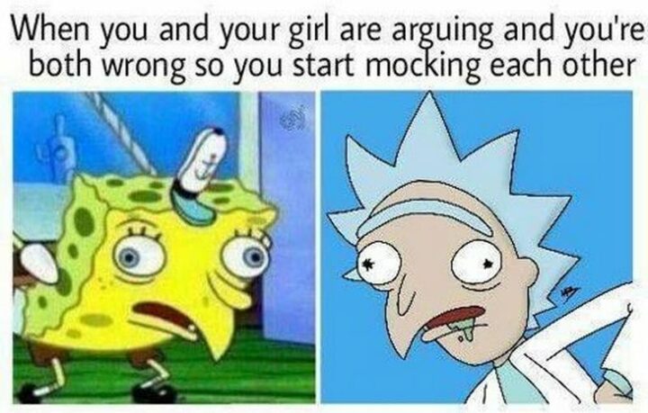 35 Silly Memes - "When you and your girl are arguing and you're both wrong so you start mocking each other."