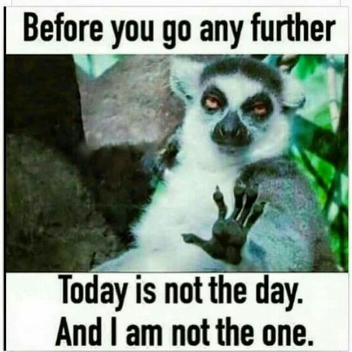 35 Silly Memes - "Before you go any further, today is not the day. And I am not the one."