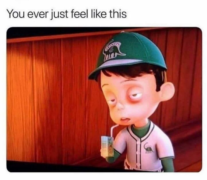 35 Silly Memes - "You ever just feel like this."