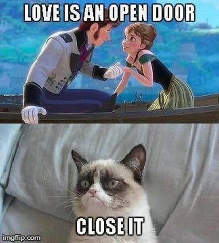 35 Silly Memes - "Love is an open door. Close it."