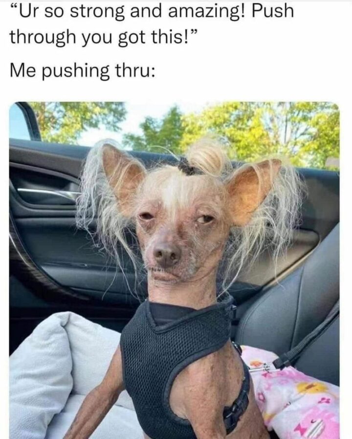 "Ur so strong and amazing! Push through, you got this! Me pushing thru:"