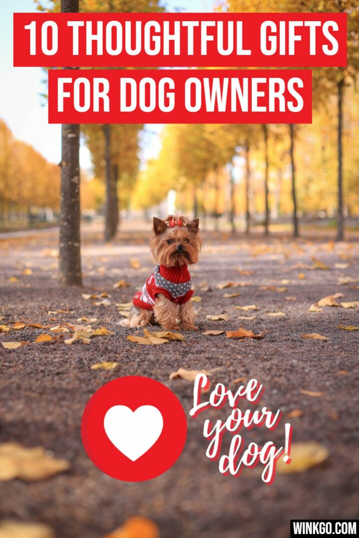 10 thoughtful gifts for dog owners to provide loving pets a heartwarming gift for a pet that puts a smile on all your faces.