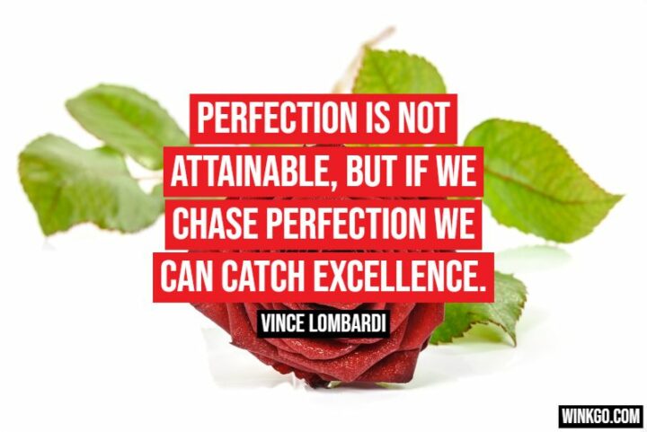 "Perfection is not attainable, but if we chase perfection we can catch excellence." - Vince Lombardi