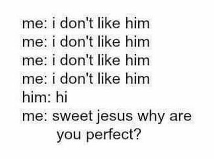 "Me: I don't like him. Me: I don't like him. Me: I don't like him. Me: I don't like him. Him: Hi. Me: Sweet Jesus why are you perfect?"
