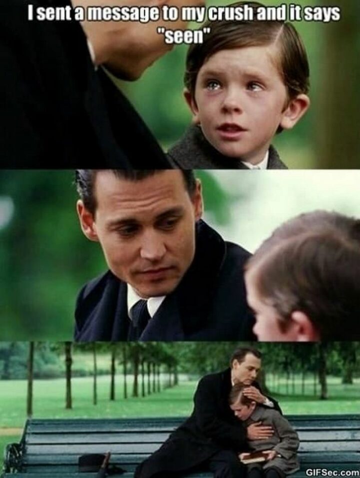 "I sent a message to my crush and it says 'Seen.'"