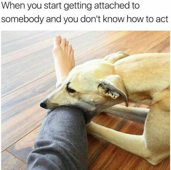 "When you start getting attached to somebody and you don't know how to act."