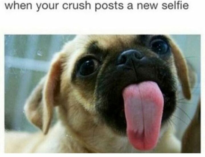 "When your crush posts a new selfie."