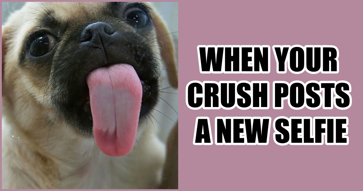 memes to send crush