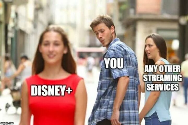 "You. Disney Plus. Any other streaming services."