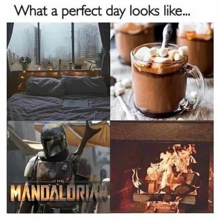 "What a perfect day looks like..."