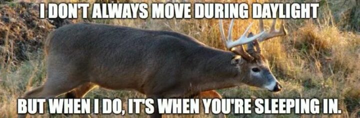 47 Top Hilarious Hunting Memes - "I don't always move during daylight but when I do, it's when you're sleeping in."