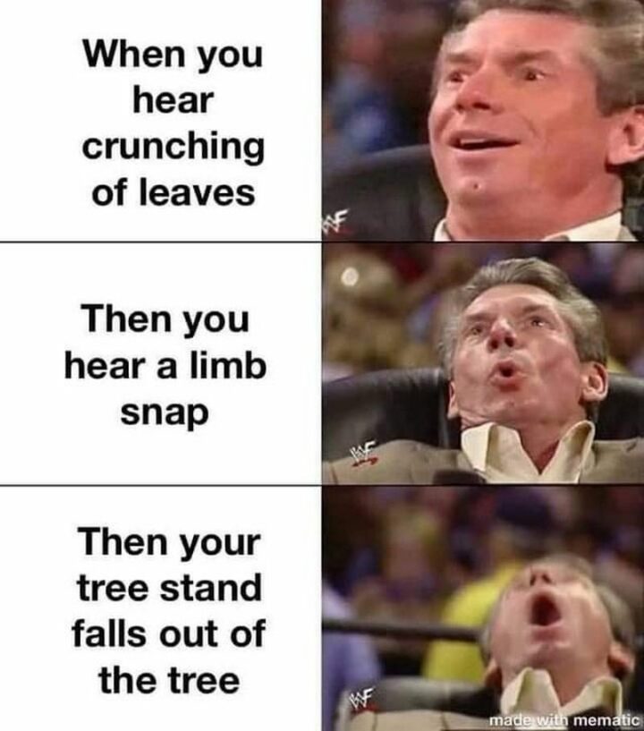 47 Top Hilarious Hunting Memes - "When you hear crunching leaves. Then you hear a limb snap. Then your tree stand falls out of the tree."