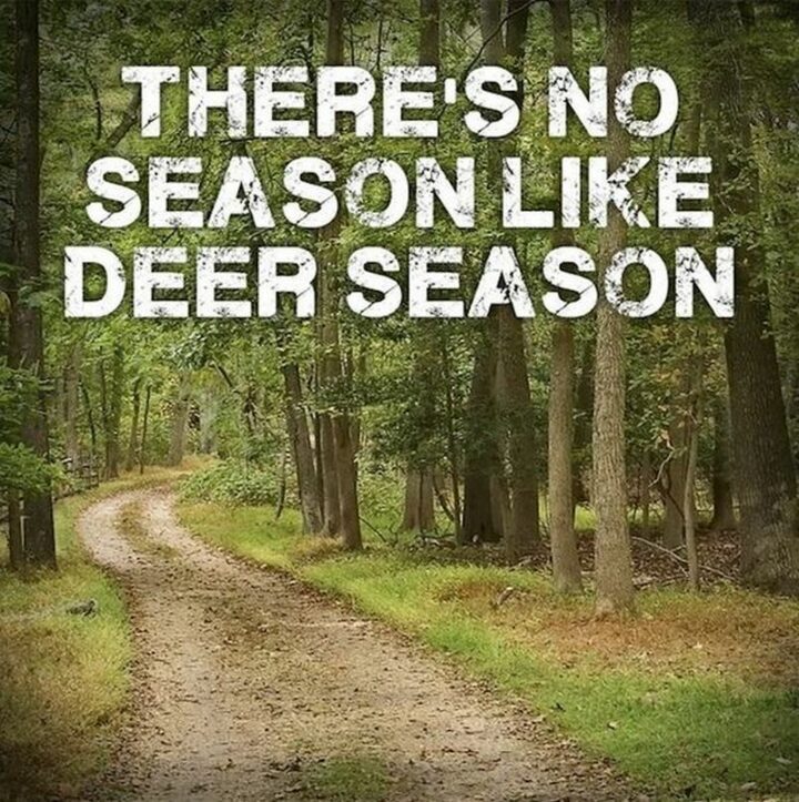 "There's no season like deer season."