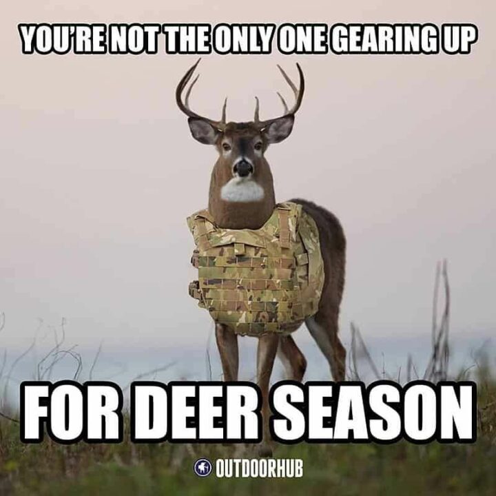 "You're not the only one gearing up for deer season."