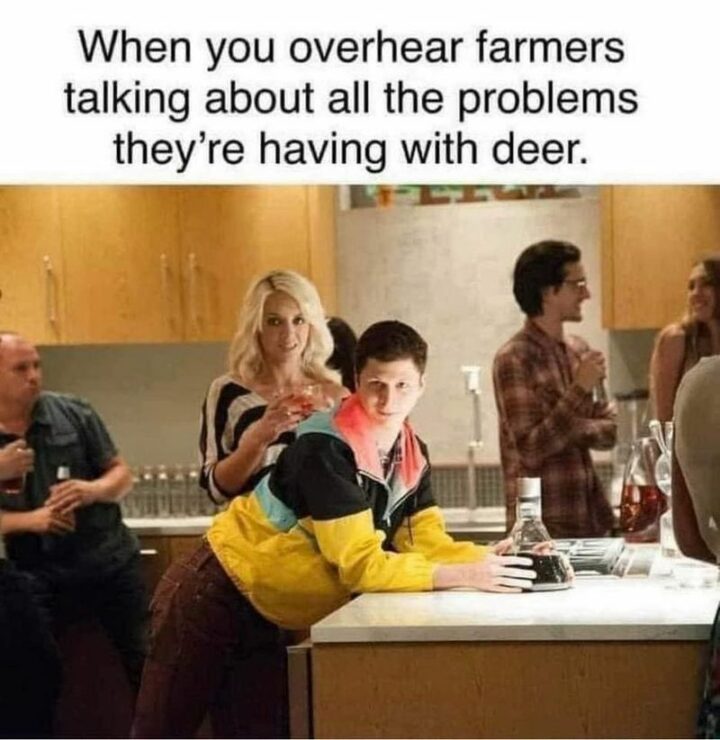 "When you overhear farmers talking about all the problems they're having with deer."