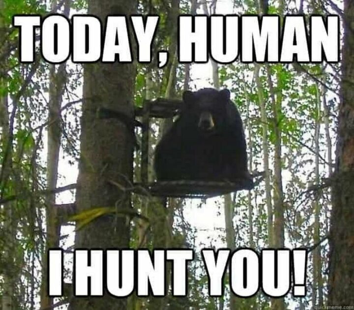 "Today, human, I hunt you!"