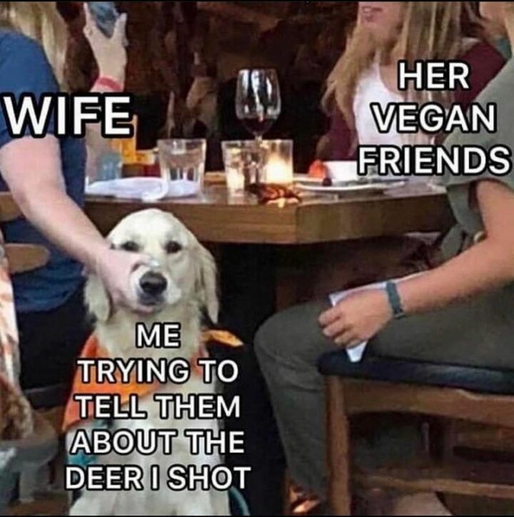 "Wife. Her vegan friends. Me trying to tell them about the deer I shot."