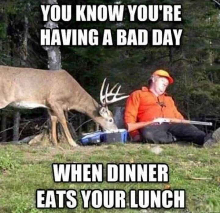 "You know you're having a bad day when dinner eats your lunch."