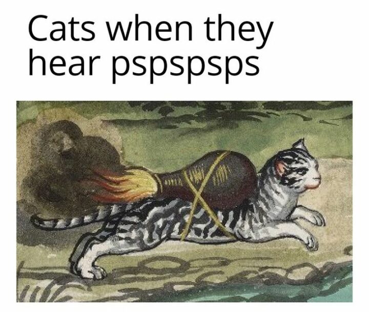 37 Funny Medieval Memes - "Cats when they hear pspspsps."