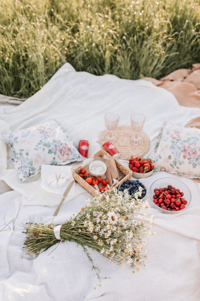 The Perfect Date Picnic Ideas For Summer Romance