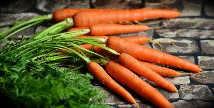 Winter Vegetables that Shine: Carrots.