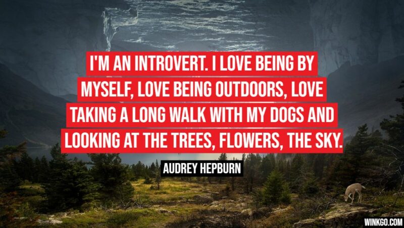 "I'm an introvert... I love being by myself, love being outdoors, love taking a long walk with my dogs and looking at the trees, flowers, the sky." - Audrey Hepburn