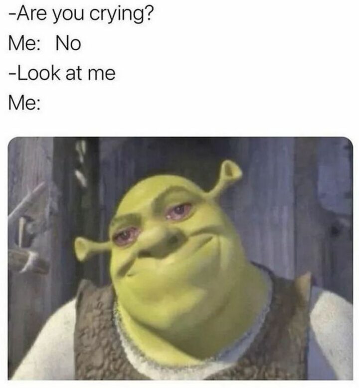 47 Hilarious Crying Memes - "Are you crying? Me: NO. Look at me. Me:"