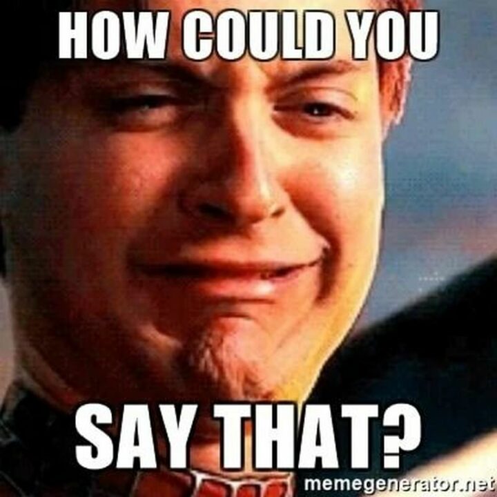 47 Hilarious Crying Memes - "How could you say that?"