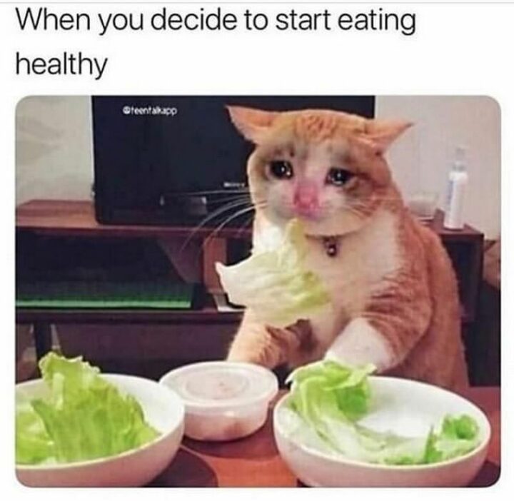 47 Hilarious Crying Memes - "When you decide to start eating healthy."