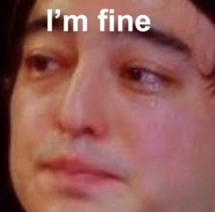 47 Hilarious Crying Memes - "I'm fine."