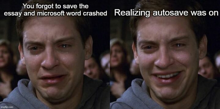 47 Hilarious Crying Memes - "You forgot to save the essay and Microsoft Word crashed. Realizing autosave was on."