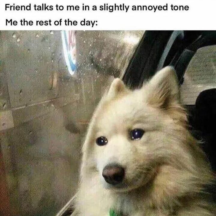 47 Hilarious Crying Memes - "Friend talks to me in a slightly annoyed tone. Me the rest of the day:"