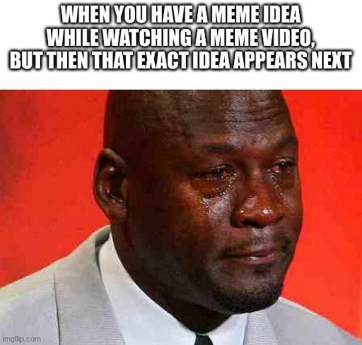 "When you have a meme idea while watching a meme video, but then that exact idea appears next."