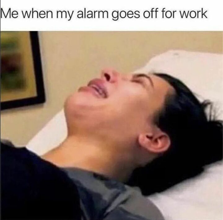 "Me when my alarm goes off for work."