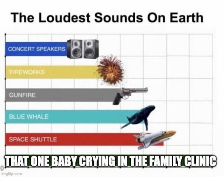 "The Loudest Sounds on Earth: Concert speakers. Fireworks. Gunfire. Blue whale. Space shuttle. That one baby crying in the family clinic."