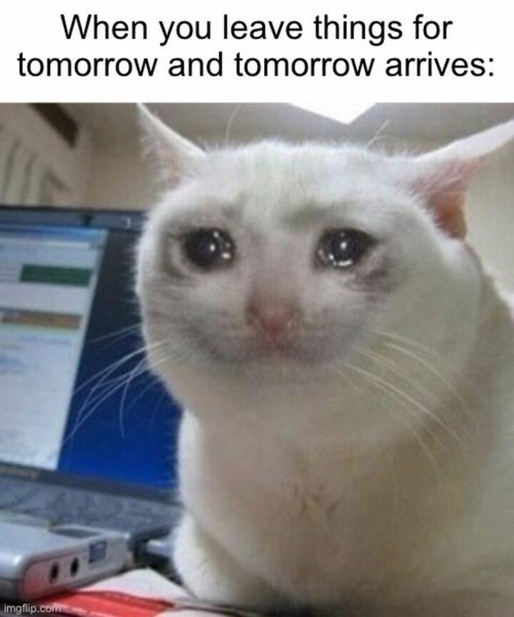 "When you leave things for tomorrow and tomorrow arrives."