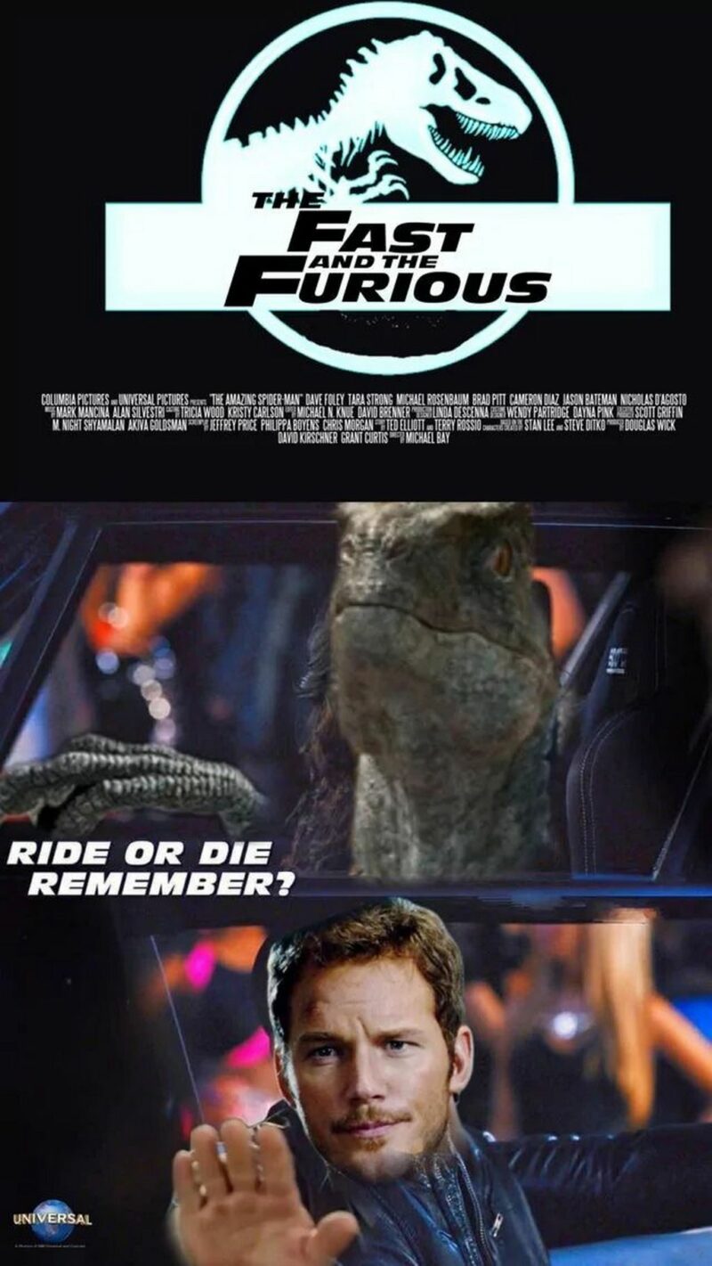 "The Fast and the Furious. Ride or die remember?"
