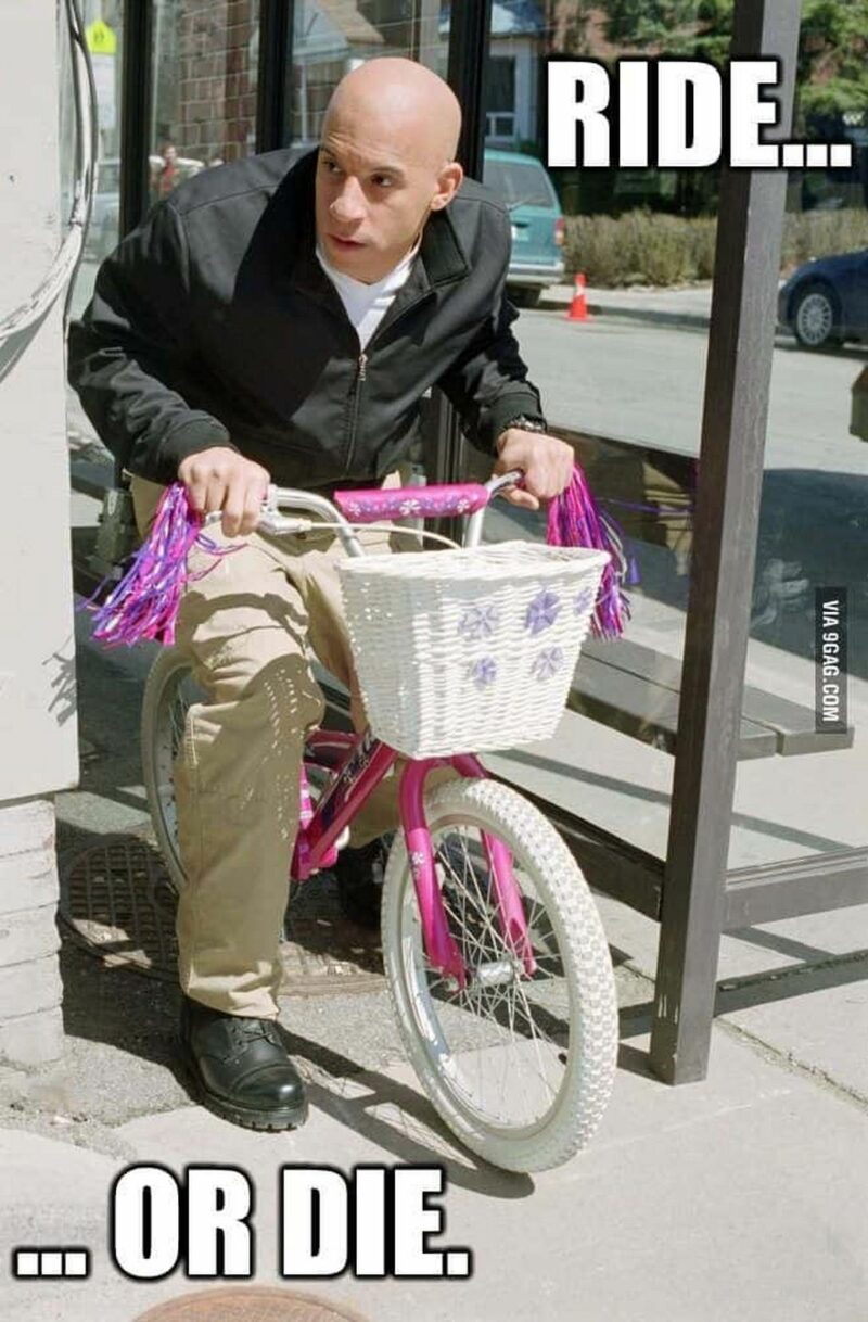 "Ride...or die."
