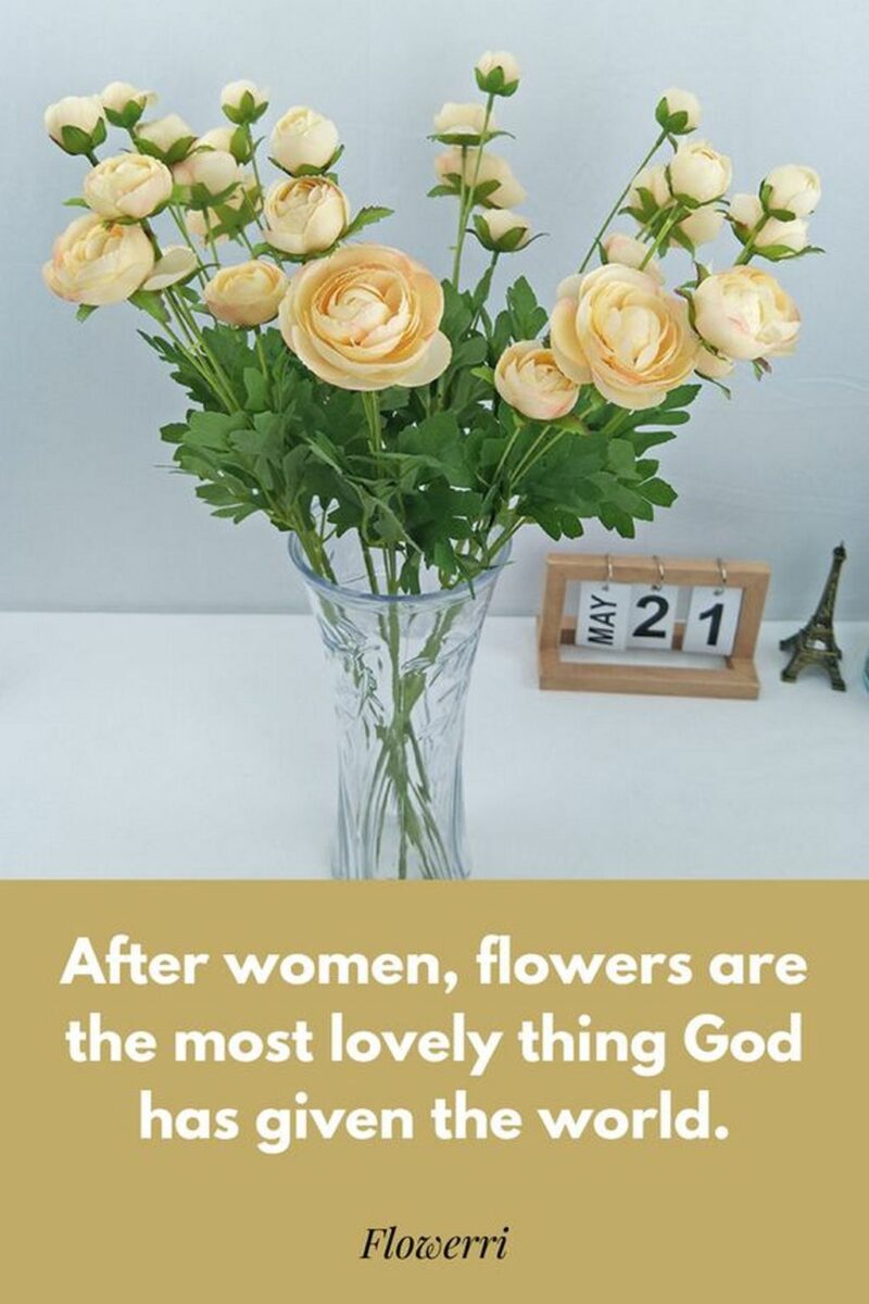 41 Delightful Flower Memes - "After women, flowers are the most lovely thing God has given the world."