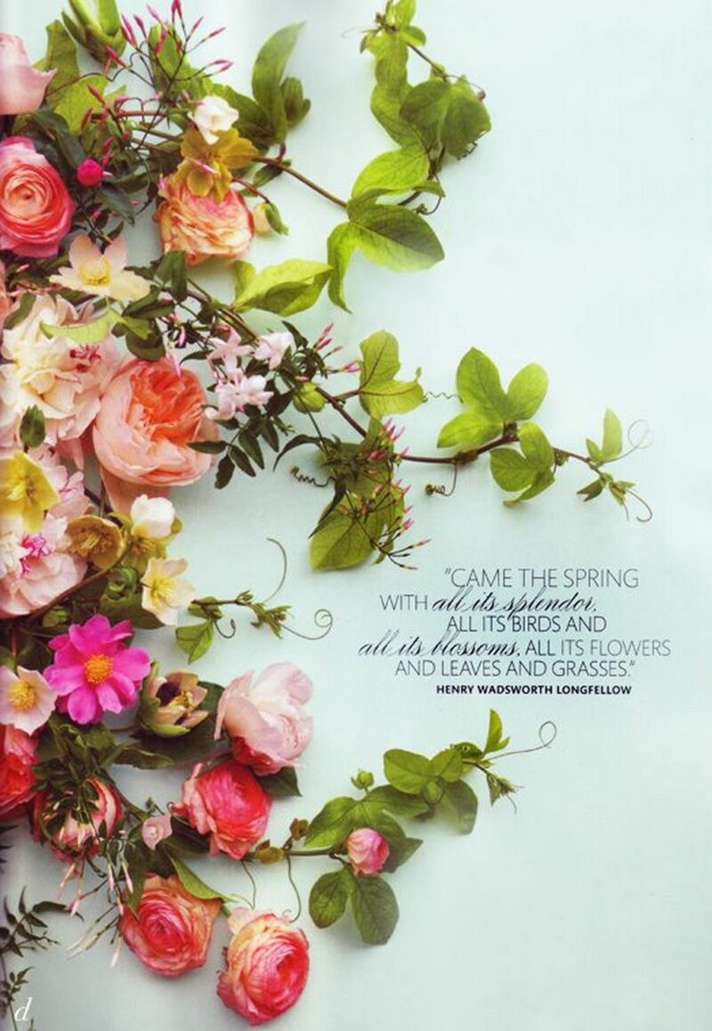 41 Delightful Flower Memes - "Came the spring with all its splendor, all its birds and all its blossoms, all its flowers and leaves and grasses." - Henry Wadsworth Longfellow