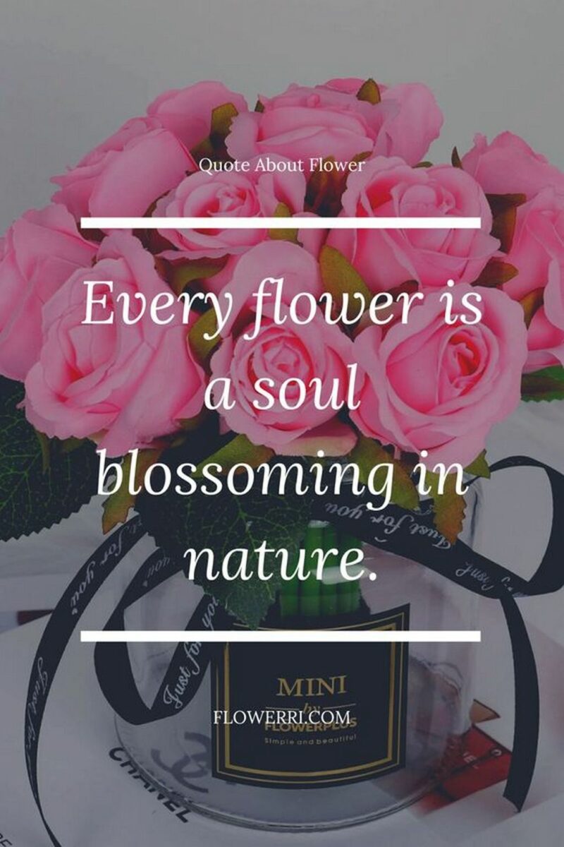 41 Delightful Flower Memes - "Every flower is a soul blossoming in nature."