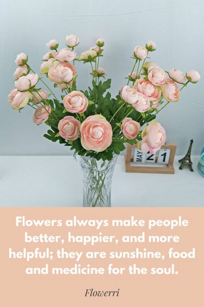 41 Delightful Flower Memes - "Flowers always make people better, happier, and more helpful; they are sunshine, food, and medicine for the soul."